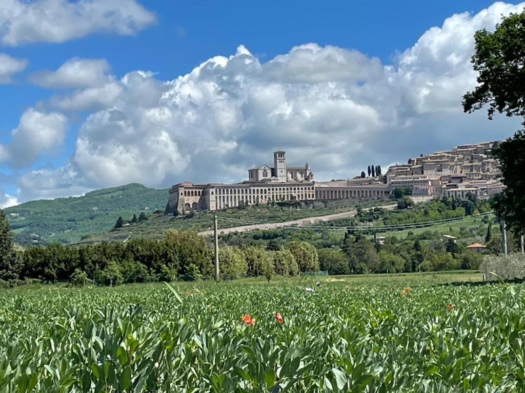 Il Fienile Di Assisi 빌라 외부 사진
