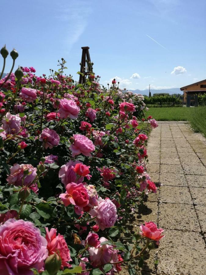 Il Fienile Di Assisi 빌라 외부 사진